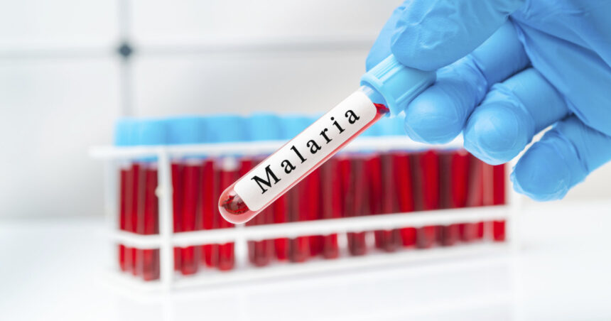 trei cazuri suspecte de malarie la copii dupa o calatorie in africa anuntul ministrului sanatatii 69c155375b0cd