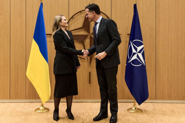 ucraina a fost scutul europei merita sa fie sabia nato kievul cere integrare deplina in alianta 69c96f6e4c7ee