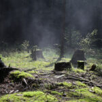 un teritoriu scufundat din europa era locuibil in era glaciara cercetatorii au gasit dovezi de viata 69c36f1cb5e9c