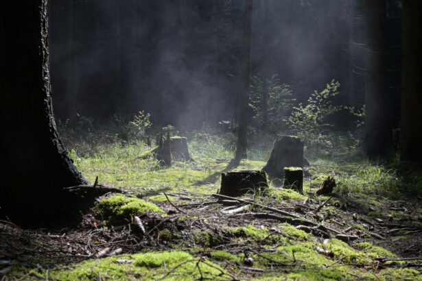 un teritoriu scufundat din europa era locuibil in era glaciara cercetatorii au gasit dovezi de viata 69c36f1cb5e9c