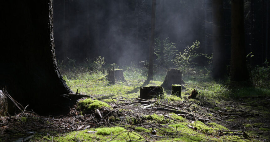 un teritoriu scufundat din europa era locuibil in era glaciara cercetatorii au gasit dovezi de viata 69c36f1cb5e9c