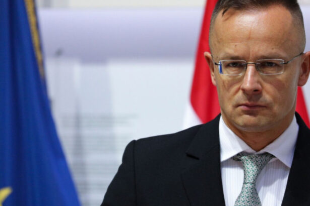 ungaria si slovacia isi vor conecta rafinariile ca sa scape de santajul ucrainenilor 69b85d8830c36