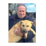 vesti minunate din adapostul public de animale abandonate constanta 69b12ce9e62e5