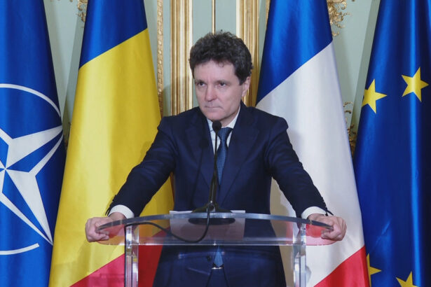 vicepremierul tanczos barna despre propunerea frantei de descurajare nucleara ajunge prima data la presedintele tarii 69a7e2cd08155