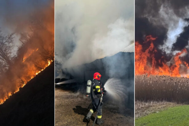 video barbat mort intr un incendiu de vegetatie in bihor peste 120 de hectare au fost cuprinse de flacari in weekend 69b81e3ab776f