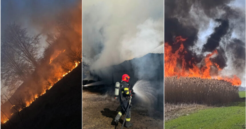 video barbat mort intr un incendiu de vegetatie in bihor peste 120 de hectare au fost cuprinse de flacari in weekend 69b81e3ab776f