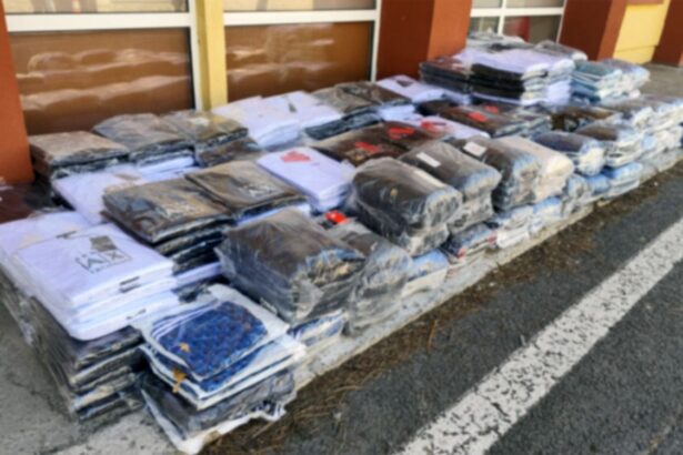 video captura record pe dn 38 langa negru voda politistii au confiscat produse contrafacute de 3 milioane de lei 69b3de15307c3