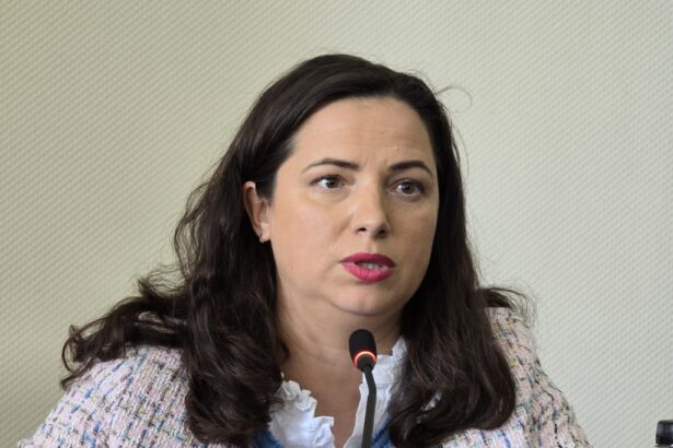 video consilierii judeteni au votat pentru reinfiintarea functiei de administrator public al judetului ionela costache propunerea lui florin mitroi 69ca27e1350cd