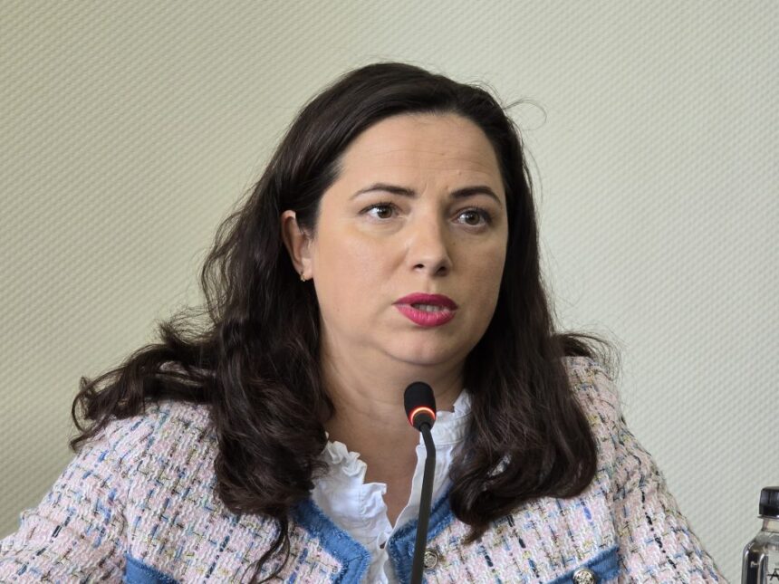 video consilierii judeteni au votat pentru reinfiintarea functiei de administrator public al judetului ionela costache propunerea lui florin mitroi 69ca27e1350cd