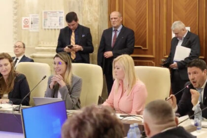 video daca tipati nu va creste barbatia atacuri in rafala la adresa dianei buzoianu la dezbaterea bugetului 69b9735521a65