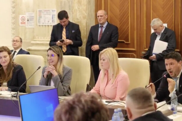 video daca tipati nu va creste barbatia atacuri in rafala la adresa dianei buzoianu la dezbaterea bugetului 69b9735521a65