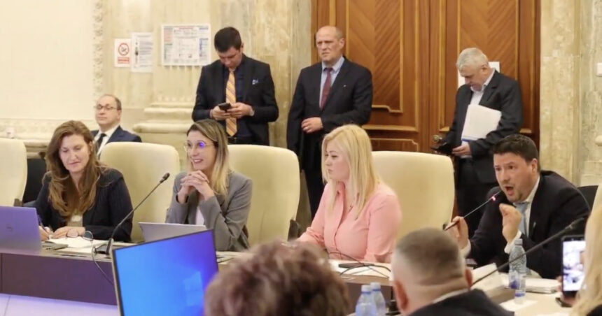 video daca tipati nu va creste barbatia atacuri in rafala la adresa dianei buzoianu la dezbaterea bugetului 69b9735521a65