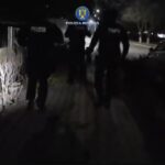 video descinderi in patru judete intre care si constanta intr un dosar privind eutanasierea ilegala a cainilor fara stapan 69a9402cb12c7