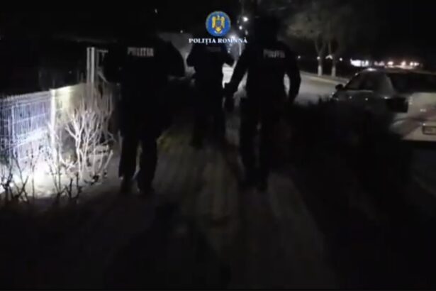 video descinderi in patru judete intre care si constanta intr un dosar privind eutanasierea ilegala a cainilor fara stapan 69a9402cb12c7