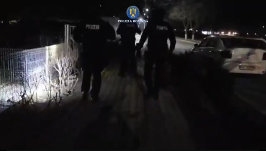 video descinderi in patru judete intre care si constanta intr un dosar privind eutanasierea ilegala a cainilor fara stapan 69a9402cb12c7