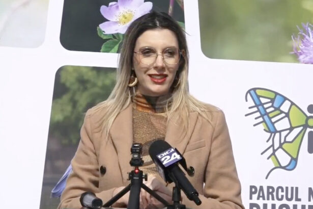 video diana buzoianu padurea baneasa poate fi parc natural arie protejata cand vom avea documentele ministerul mediului va face acest pas 69bea0a497bc7