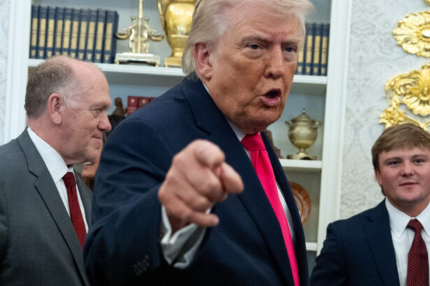 video donald trump este furios si pregateste un model de tip pay to play pentru nato articolul 5 ar putea fi afectat 69c80ff3aad31