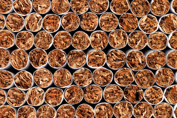 video inspectorii vamali au confiscat peste 255 000 de tigarete si aproape 230 de litri de alcool la frontiera de est si nord est 69ac6770c4c36