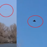 video mapn a ridicat doua avioane f 16 in aer dupa drona detectata in zona chilia veche judetul tulcea 69b3e886aa7ec