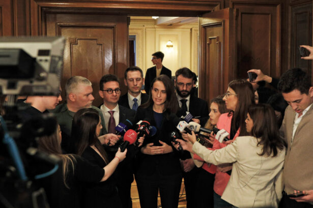 video oana toiu in scandalul repatrierii fiicei lui victor ponta a existat o comunicare paralela fata de canalele oficiale 69b17c2da3688