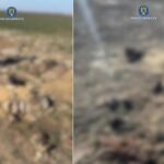 video politistii ancheteaza un alt caz de resturi animale abandonate pe camp de data aceasta la lumina 69b3ef62e9fef