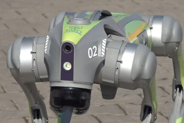 video primul oras din romania unde robotii cu ia vor ajuta la curatenie proiect de 1 milion de euro 69adc0083ad00