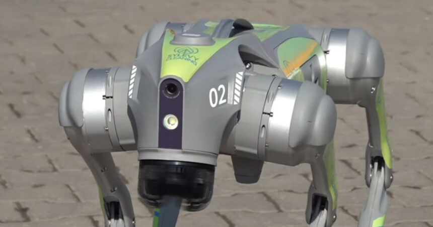 video primul oras din romania unde robotii cu ia vor ajuta la curatenie proiect de 1 milion de euro 69adc0083ad00