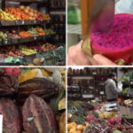 video romanii au prins gustul fructelor exotice cum s au transformat aprozarele clasice in afaceri cu rambutan jackfruit sau mangustan 69c0f123a2002