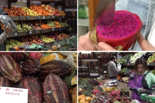 video romanii au prins gustul fructelor exotice cum s au transformat aprozarele clasice in afaceri cu rambutan jackfruit sau mangustan 69c0f123a2002