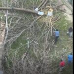 video scandalul din zona abator ia amploare au fost taiati copacii in zona unde cambela vrea sa faca parcare 69c4e1a4629aa