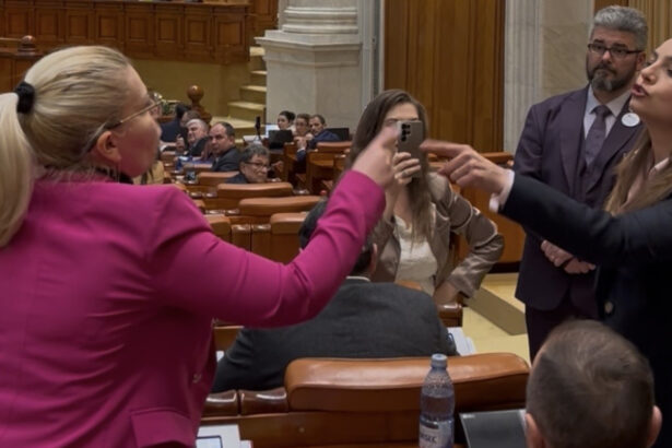 video stai in banca ta anamaria gavrila tipa la o colega de partid in plenul parlamentului nu vorbesti tu in numele pot 69bc5dd6af871