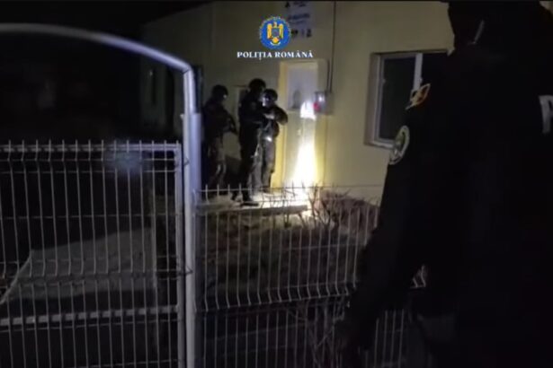 video surse perchezitii la eforie sud in dosarul privind uciderea animalelor cu intentie fara drept abuz in serviciu si inselaciune 69a97c578fcfb