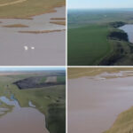 video un lac din olt secat ani la rand s a reumplut dupa ploile si ninsorile din ultimele luni au inceput sa apara si pasarile 69b6401e7a0c1