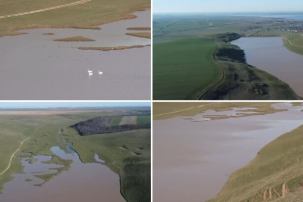 video un lac din olt secat ani la rand s a reumplut dupa ploile si ninsorile din ultimele luni au inceput sa apara si pasarile 69b6401e7a0c1