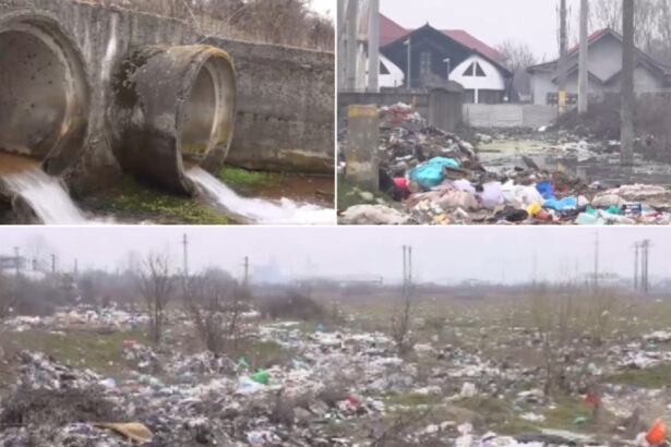 video vai de capul meu groaznic focar de infectie pe malul raului jiu din cauza tonelor de gunoaie aruncate la intamplare de oameni 69bb9b36ec36d