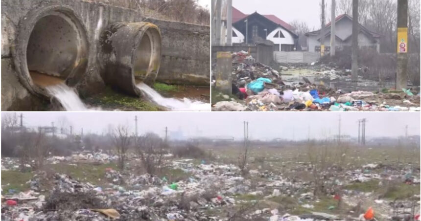 video vai de capul meu groaznic focar de infectie pe malul raului jiu din cauza tonelor de gunoaie aruncate la intamplare de oameni 69bb9b36ec36d