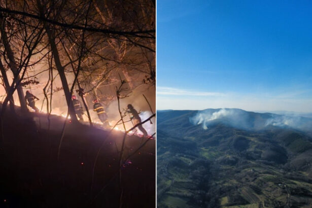 videofoto incendii puternice de vegetatie in doua judete din tara zeci de hectare distruse de flacari elicoptere black hawk trimise in sprijin 69b6982b88a1a