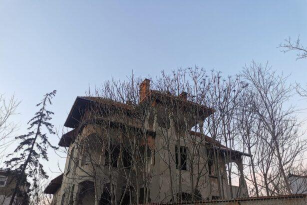 vila dalas nu mai este de vanzare va intra in proces de reabilitare si apoi va fi data spre inchiriere 69a8a8f7d8bc5