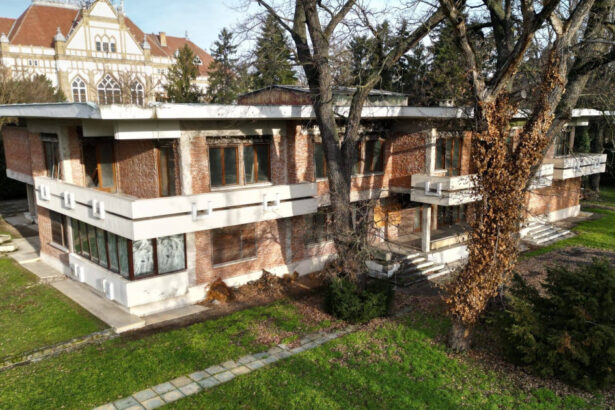 vila de protocol a lui ceausescu din timisoara a reintrat in patrimoniul judetului in ce vor autoritatile locale sa o transforme 69b414a445dfd