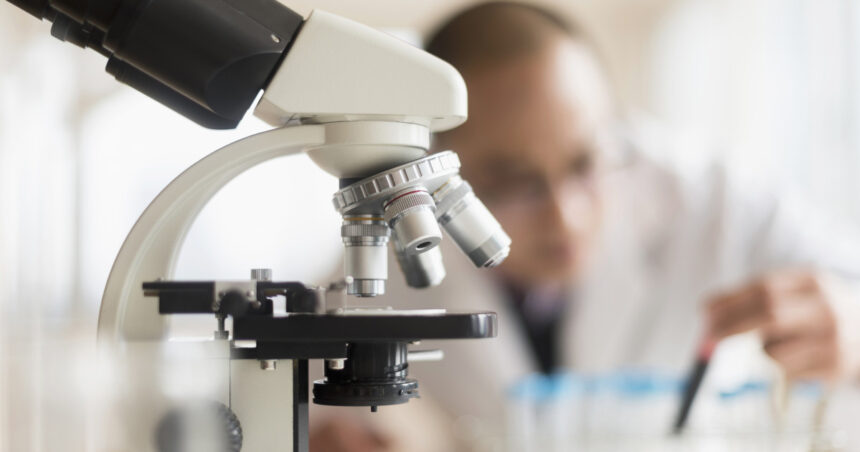 virusul prezent la 95 dintre oameni asociat cu scleroza multipla si cancer poate fi blocat de un nou anticorp 69a7bf9c85a6e