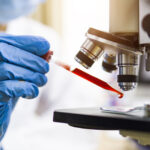 virusurile de la animale pot infecta oamenii fara mutatii speciale studiu 69c8e9e0e5498