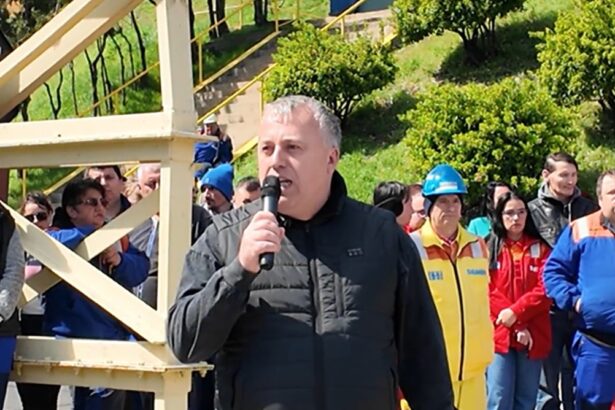 a 14 a zi de protest la damen mangalia salariile pentru luna decembrie respinse la plata sindicalistii pregatiti sa protesteze in capitala 69d50f3d4b849