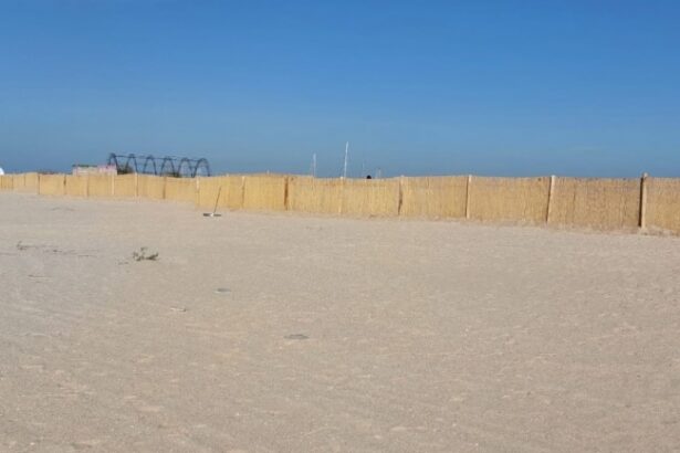 apele romane scot la licitatie 102 subsectoare de plaja de pe litoral 69ce14739b75c