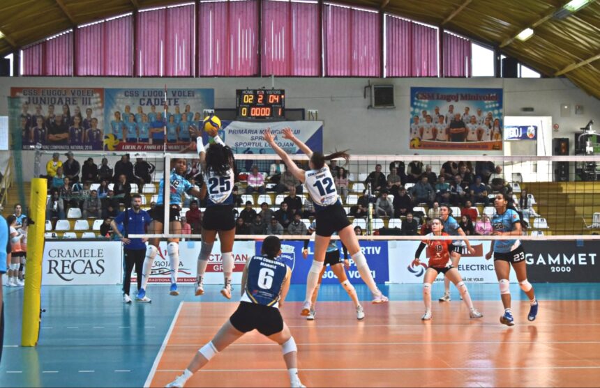 csm constanta a castigat la lugoj si va lupta pentru un loc in cupele europene 69d78f9c240c1