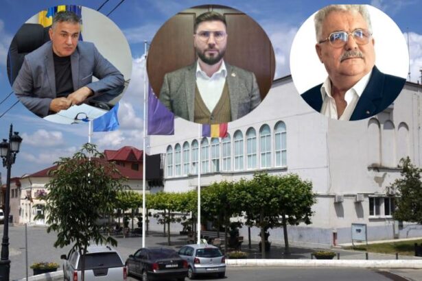 cuibul de viespi sau de cuci la alegere cateva detalii despre interesele si viata politica si administrativa din cernavoda 69ced6835127e