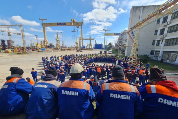 damen mangalia iata cine a votat pentru aprobarea planului de reorganizare care ar fi salvat santierul naval 69d70d1981337