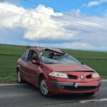 emotionant pompierii din constanta gazduiesc 3 pisici salvate din accidentul de la sibioara iata de unde le pot lua proprietarii 69d64f3c27647