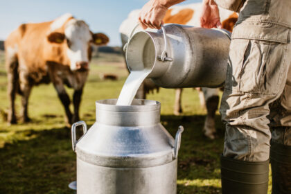 exclusiv criza in fermele de lapte din romania producatorii sunt afectati grav de razboiul din orientul mijlociu toata lumea e la pamant 69ce0227dff6d