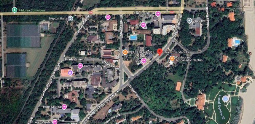 familia erbasu castiga procesul intentat consiliului local mangalia vezi aici minuta 69d2815dee011