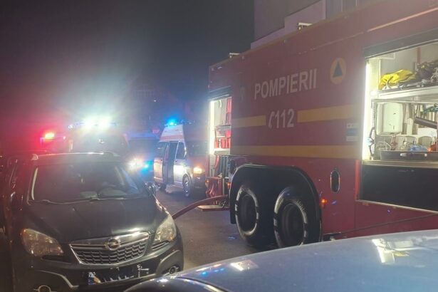 foto tragedie la tulcea in noaptea de florii mama si fiu morti in incendiu 69d2064b2a3d1